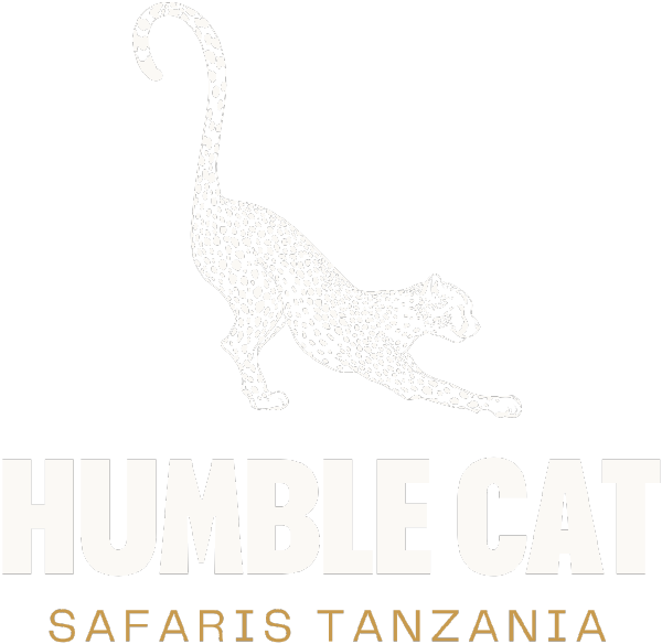 Humble Cat Safaris Tanzania