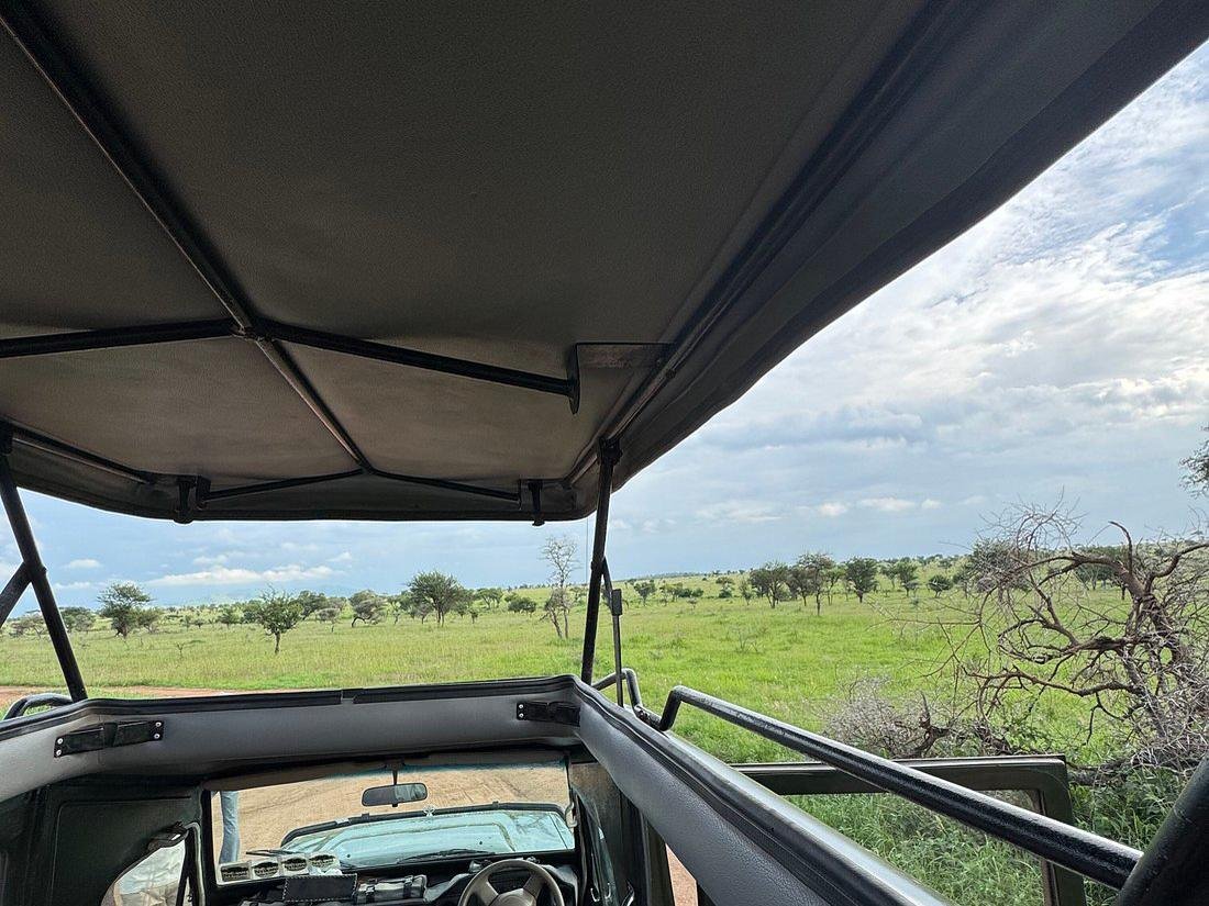 The view forward from inside a safari vehicle, roof raised